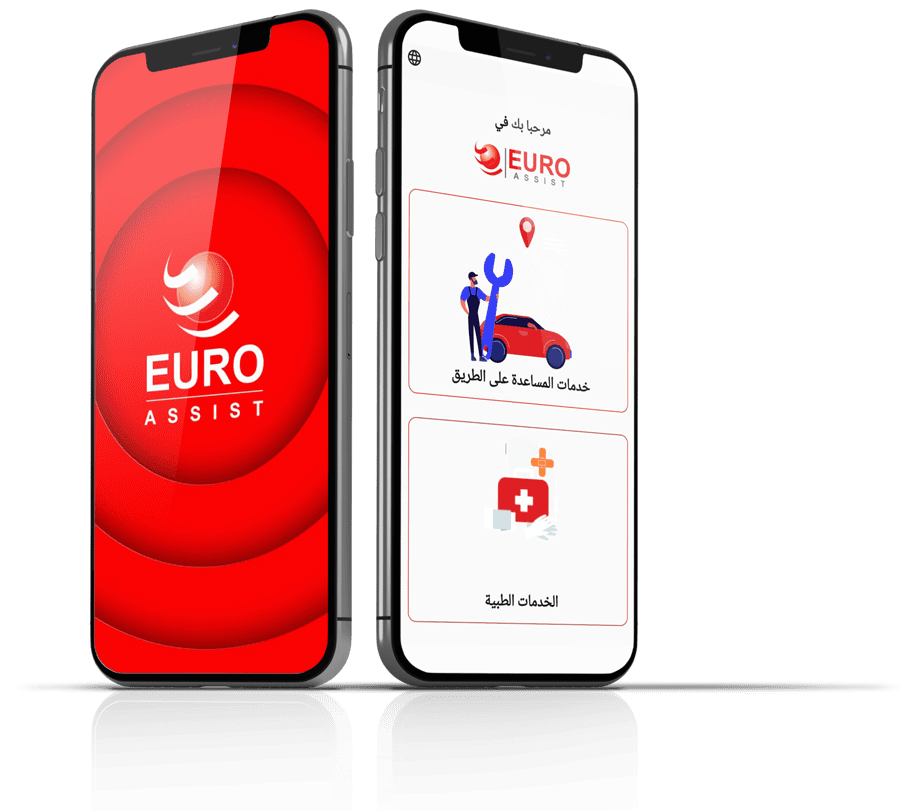 Euro Assist Application