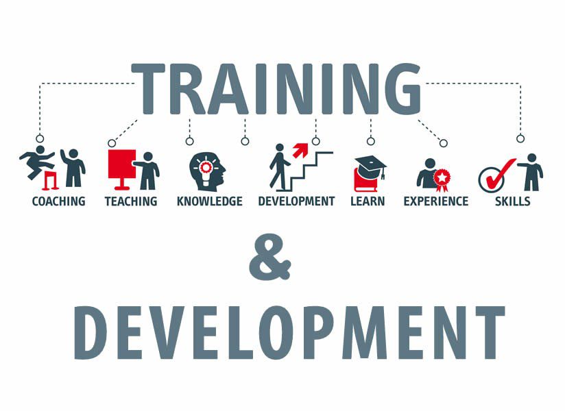 تدريب وتطوير الشركات