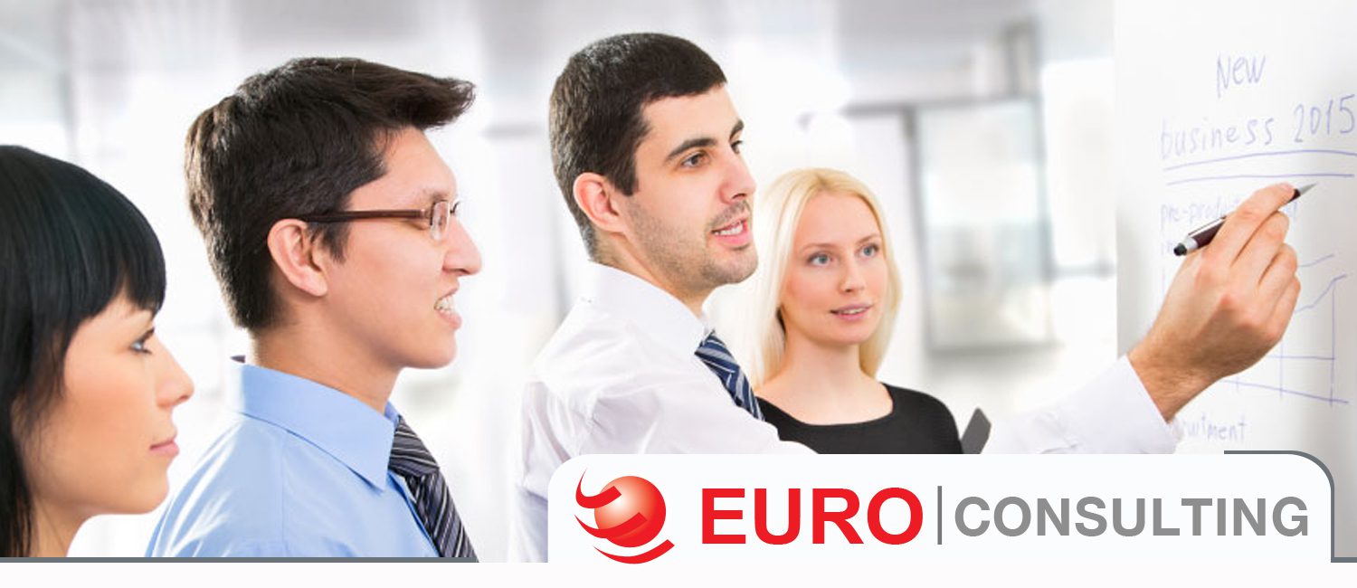 يورو للخدمات الاستشارية (Euro Consulting)